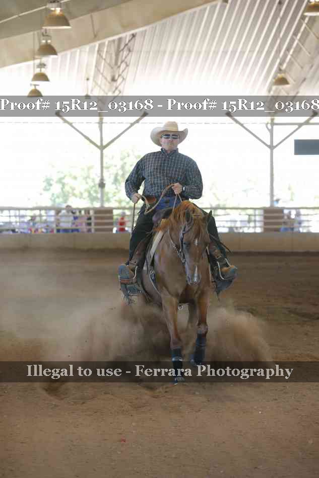 Proof Number 15R12_03168