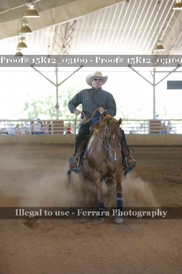 Proof Number 15R12_03169