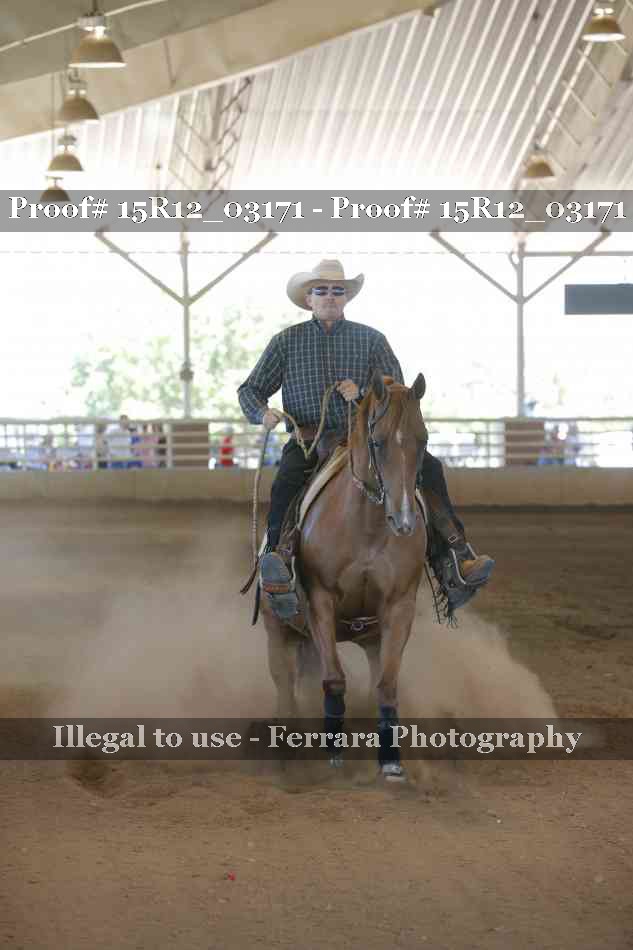 Proof Number 15R12_03171