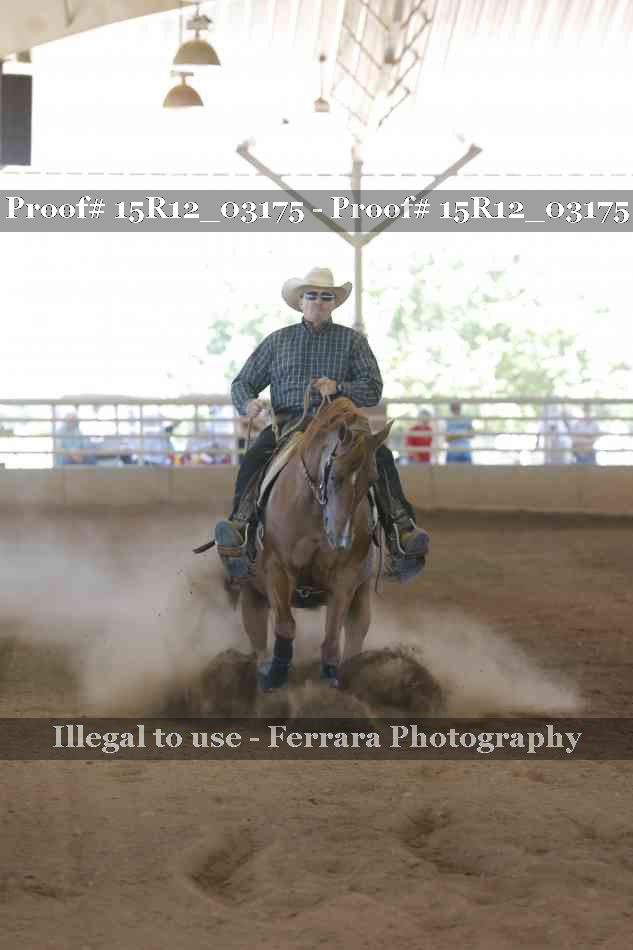 Proof Number 15R12_03175