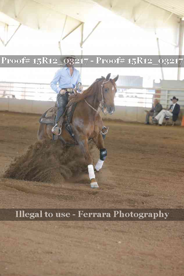 Proof Number 15R12_03217