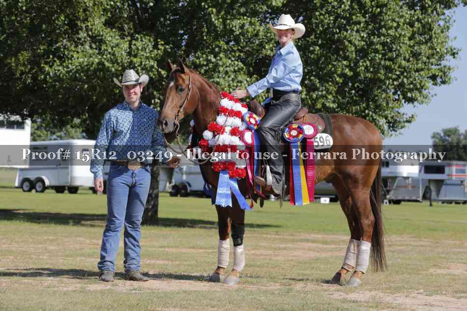 Proof Number 15R12_03249