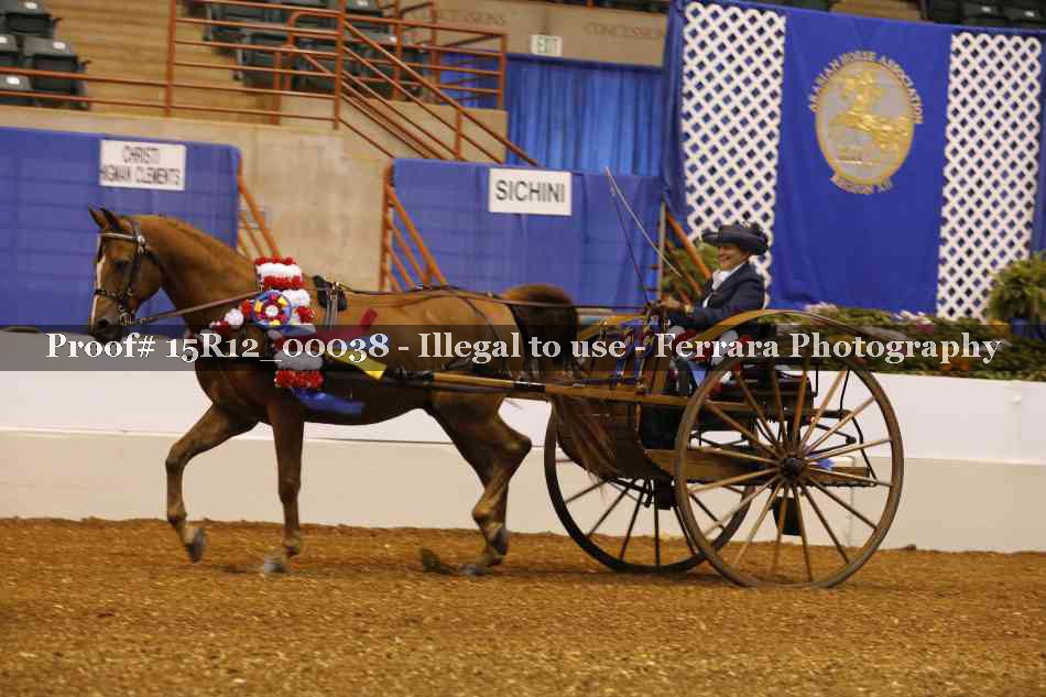 Proof Number 15R12_00038