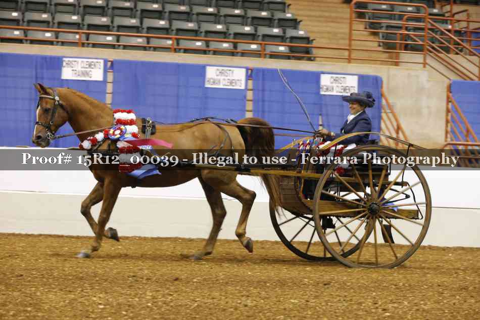 Proof Number 15R12_00039