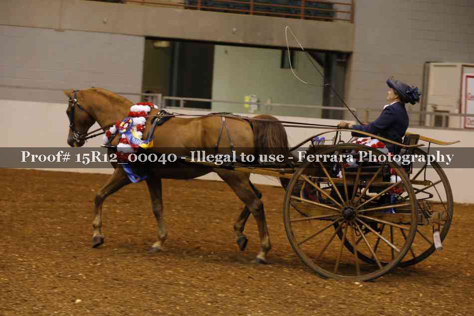 Proof Number 15R12_00040