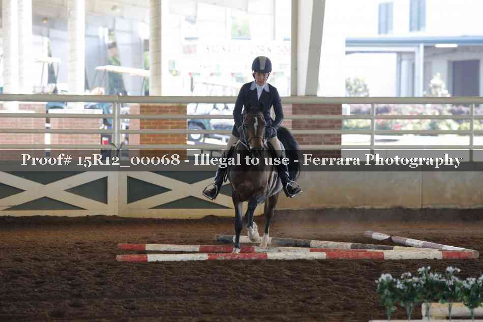 Proof Number 15R12_00068