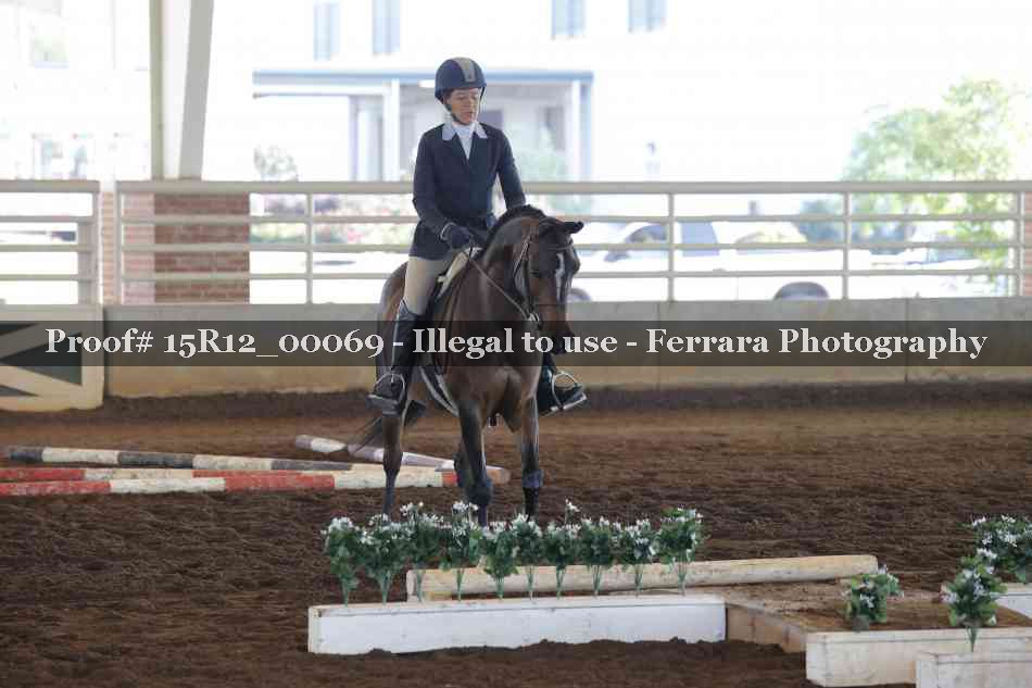 Proof Number 15R12_00069