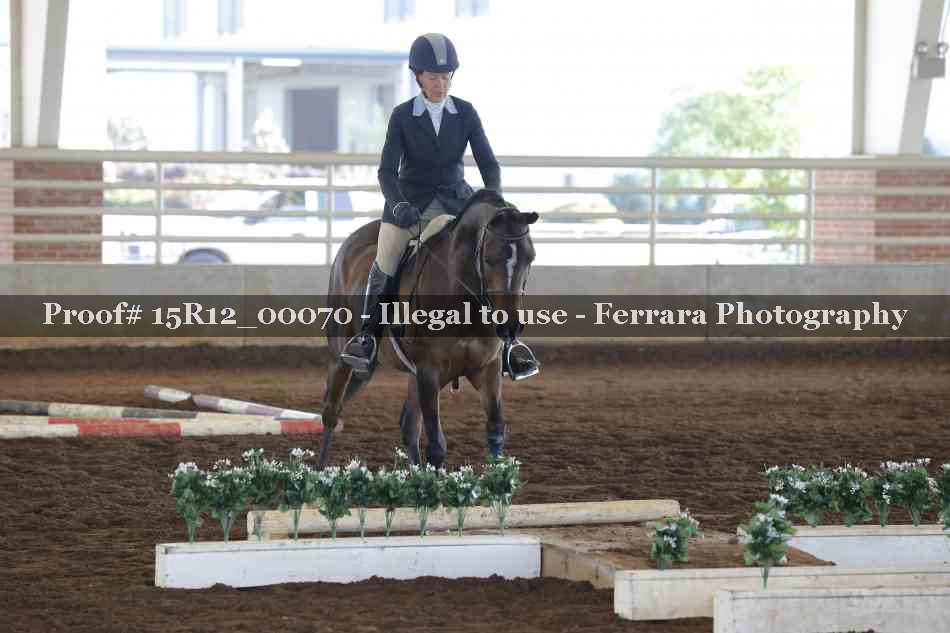 Proof Number 15R12_00070