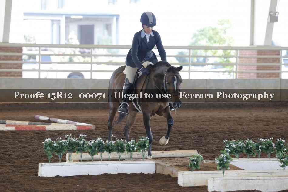 Proof Number 15R12_00071
