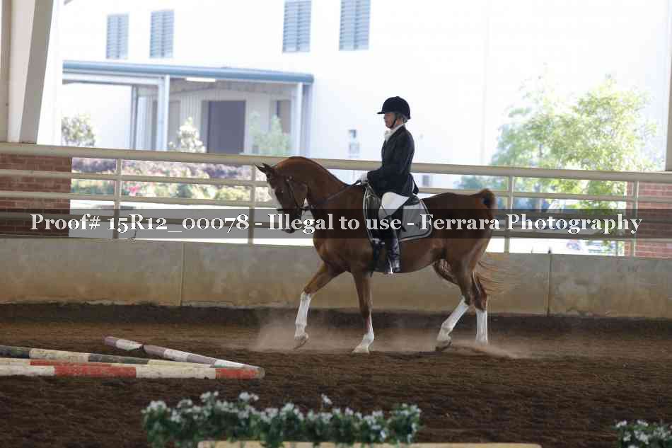 Proof Number 15R12_00078