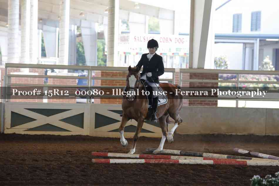Proof Number 15R12_00080