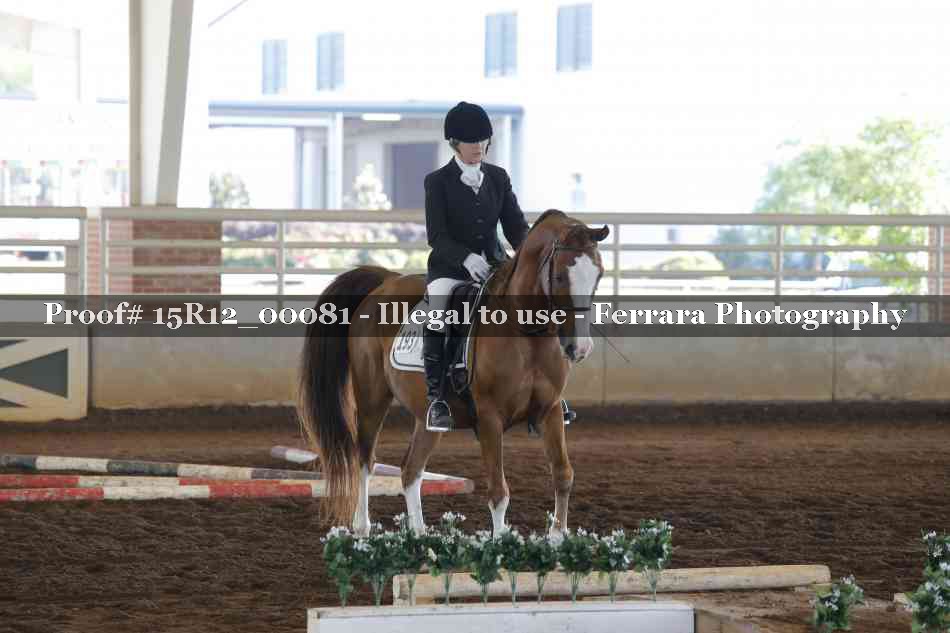 Proof Number 15R12_00081