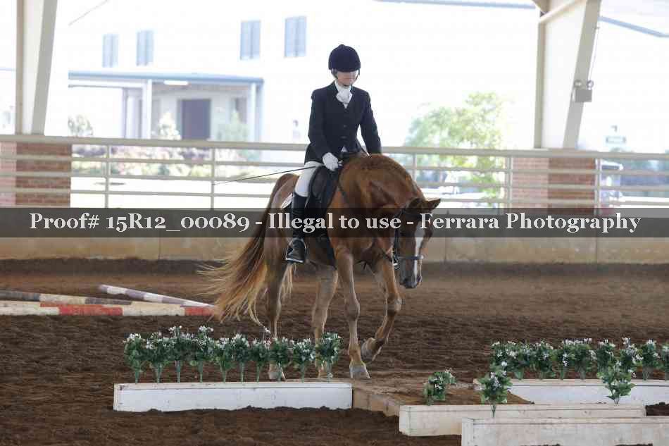 Proof Number 15R12_00089