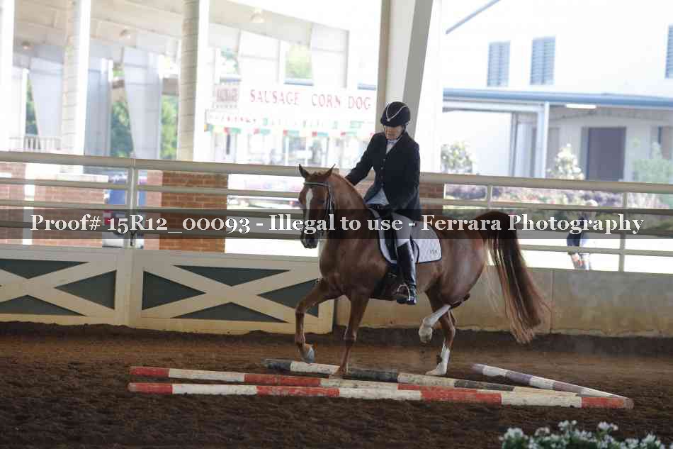 Proof Number 15R12_00093