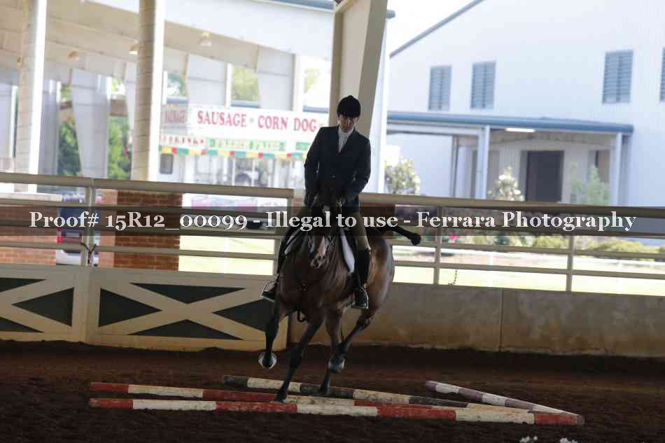 Proof Number 15R12_00099
