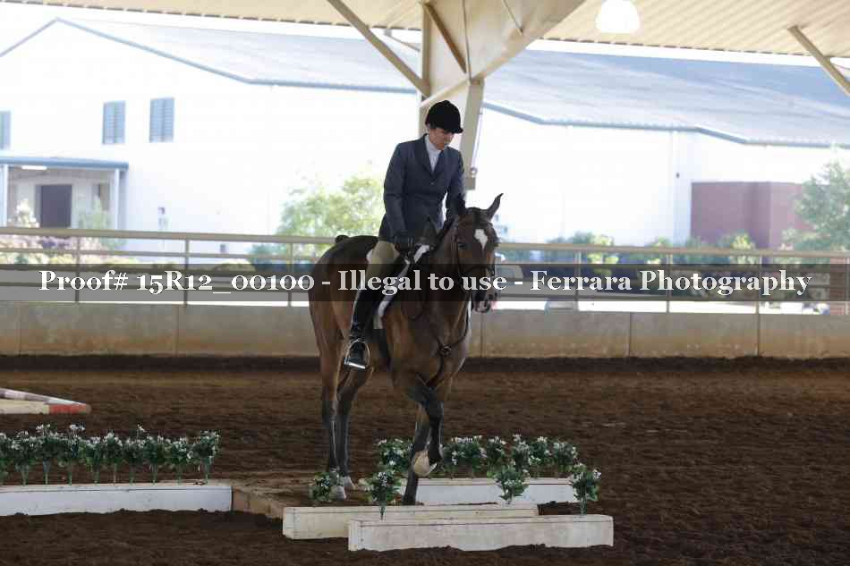 Proof Number 15R12_00100