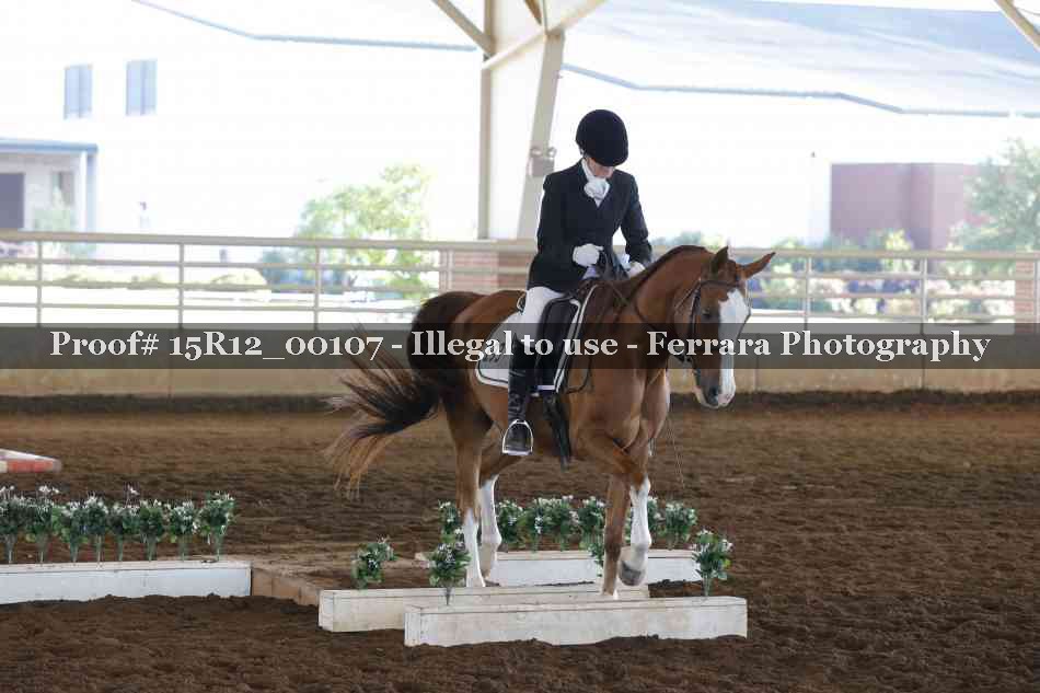 Proof Number 15R12_00107