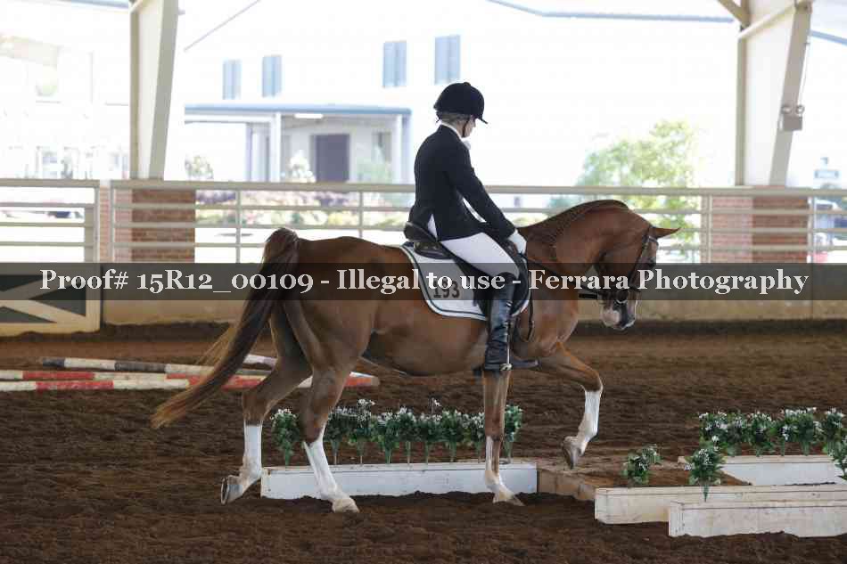 Proof Number 15R12_00109