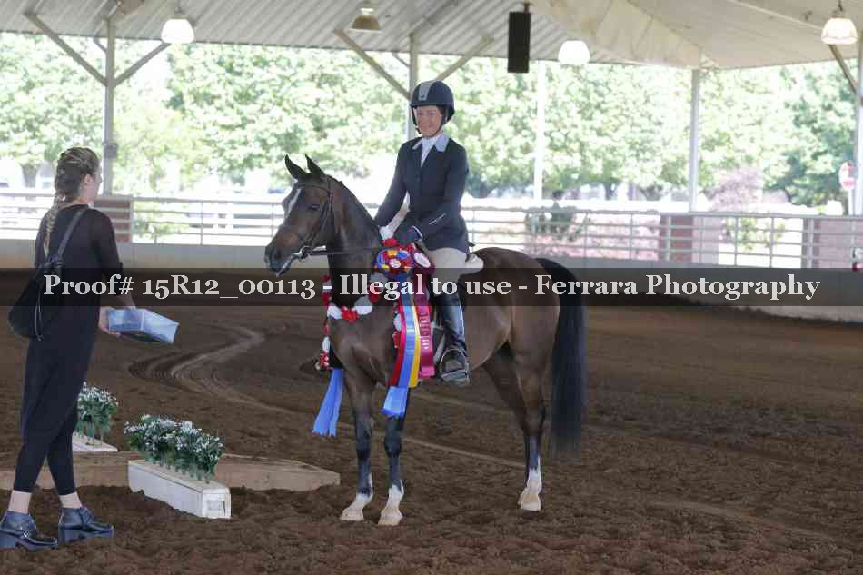 Proof Number 15R12_00113