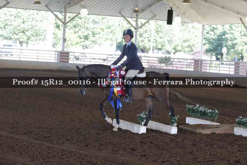 Proof Number 15R12_00116