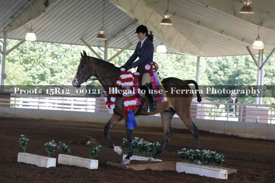 Proof Number 15R12_00121