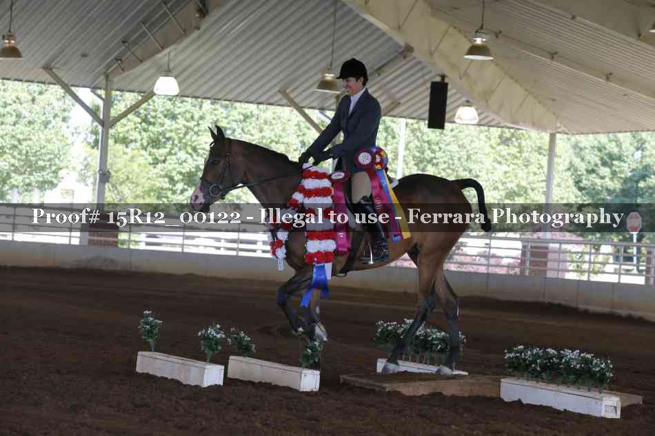 Proof Number 15R12_00122
