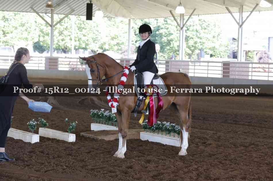 Proof Number 15R12_00124
