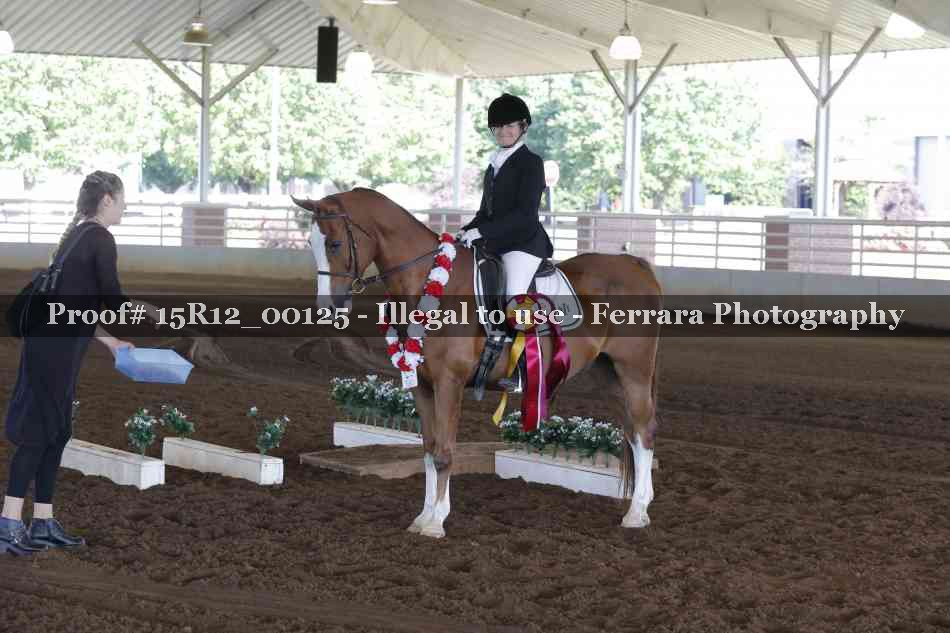 Proof Number 15R12_00125