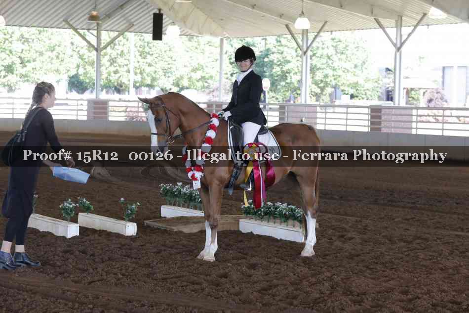 Proof Number 15R12_00126