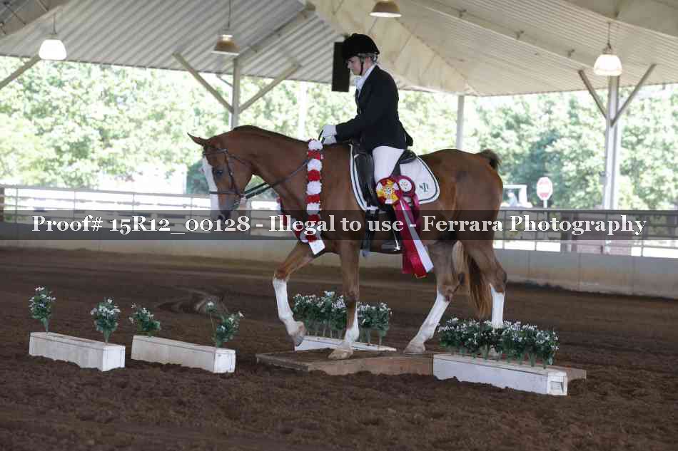 Proof Number 15R12_00128