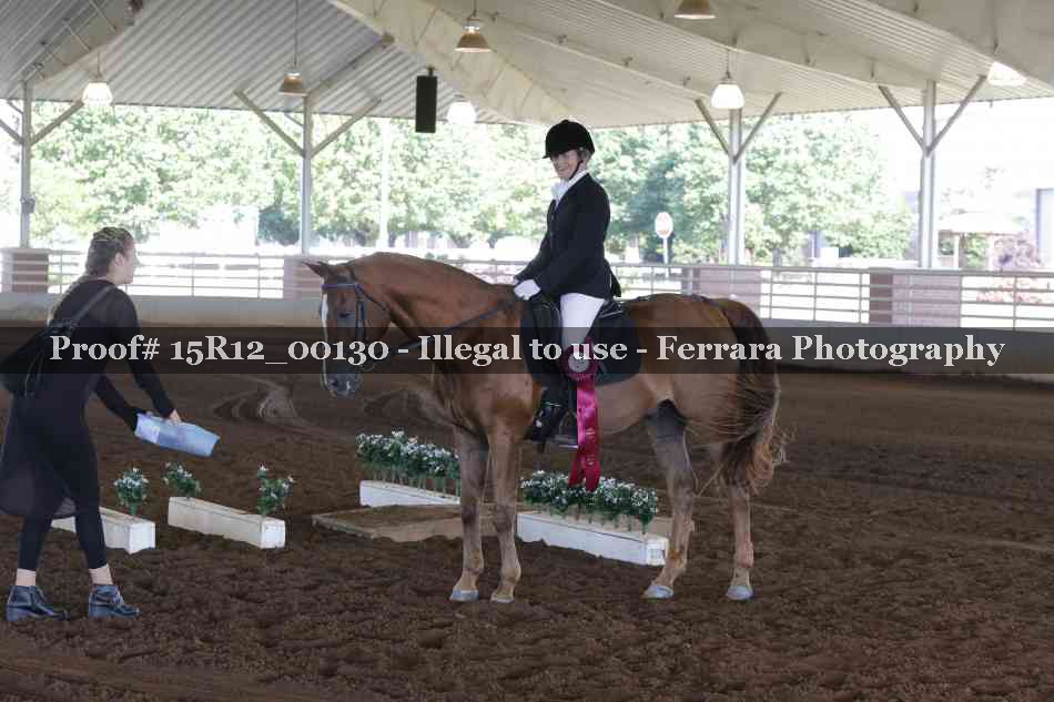 Proof Number 15R12_00130