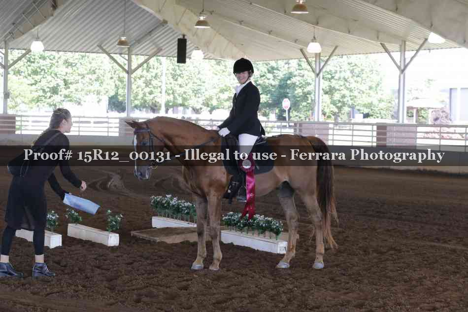 Proof Number 15R12_00131