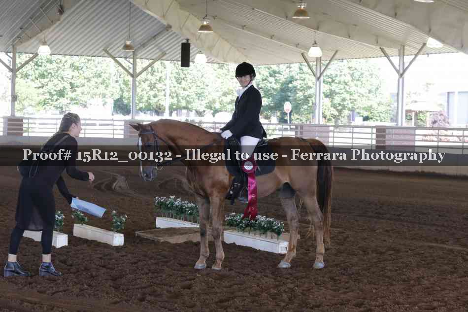Proof Number 15R12_00132