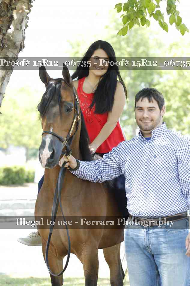 Proof Number 15R12_06735