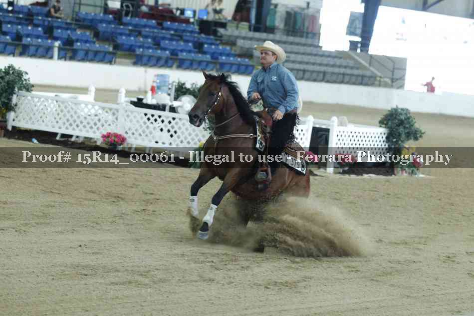 Proof Number 15R14_00061