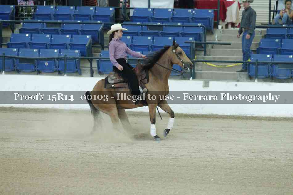 Proof Number 15R14_00103