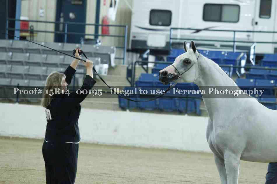 Proof Number 15R14_00195