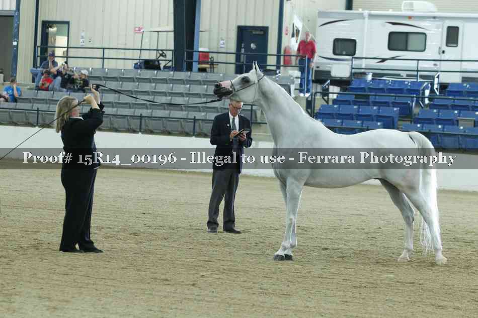 Proof Number 15R14_00196