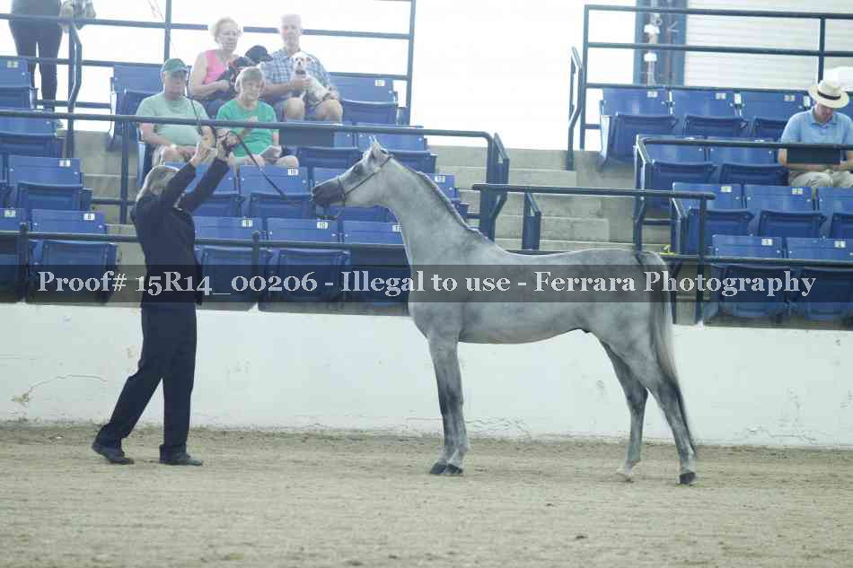 Proof Number 15R14_00206