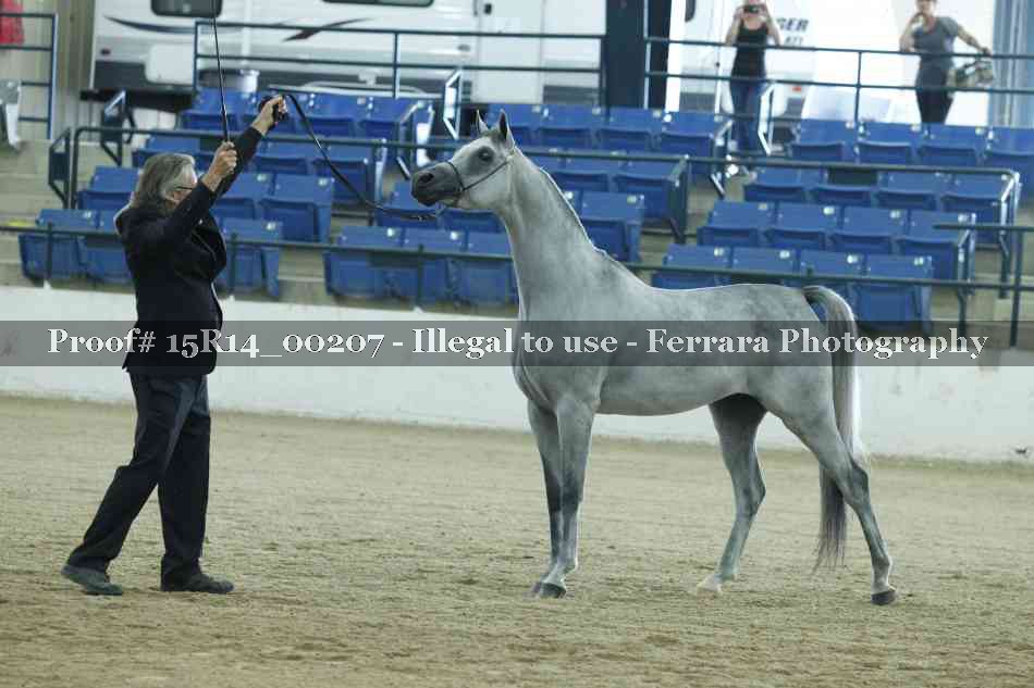 Proof Number 15R14_00207