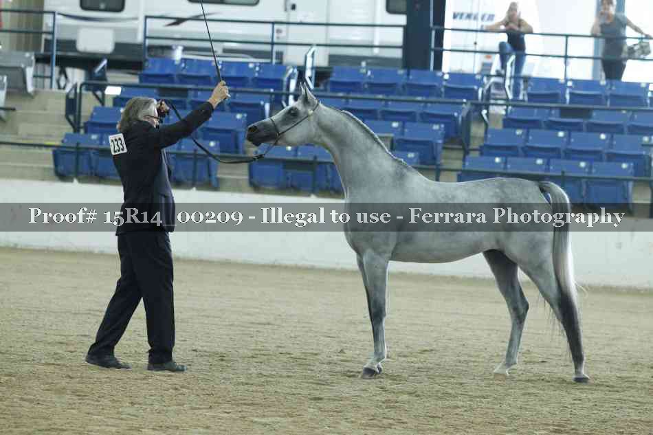 Proof Number 15R14_00209