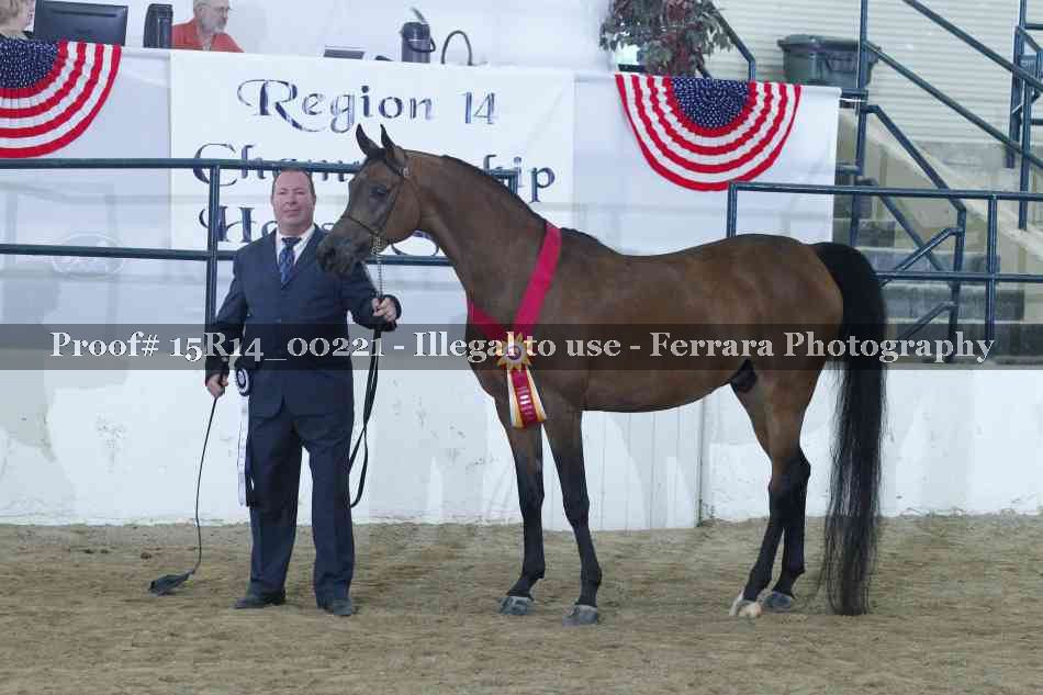 Proof Number 15R14_00221