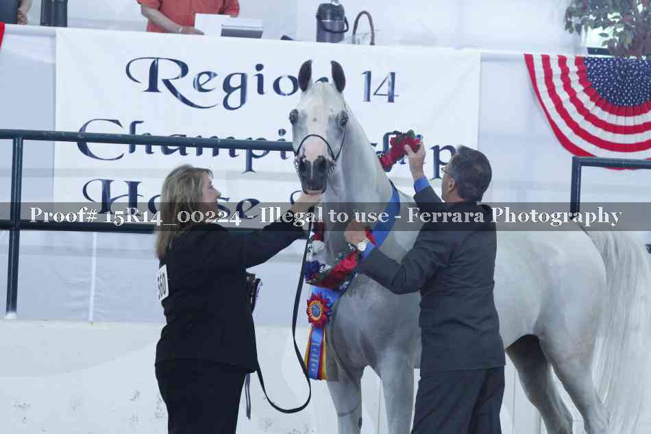 Proof Number 15R14_00224