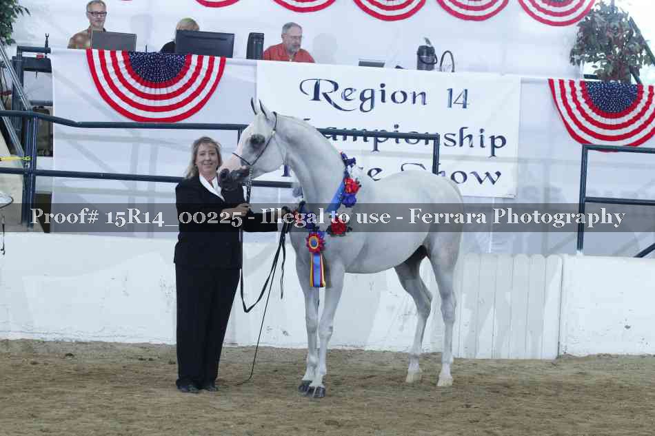 Proof Number 15R14_00225