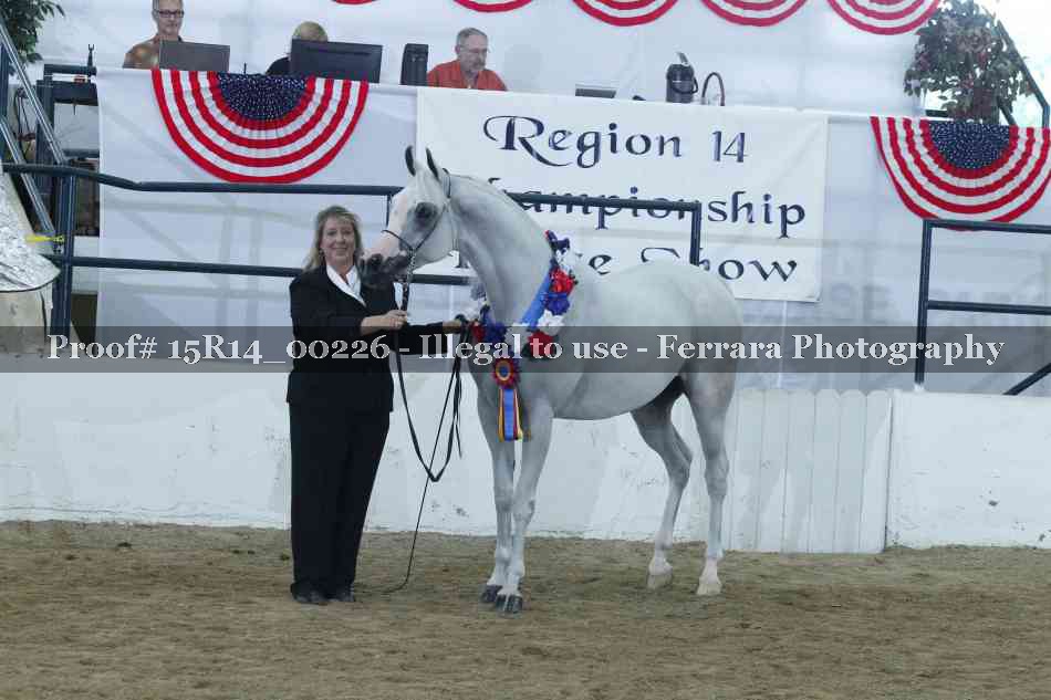 Proof Number 15R14_00226