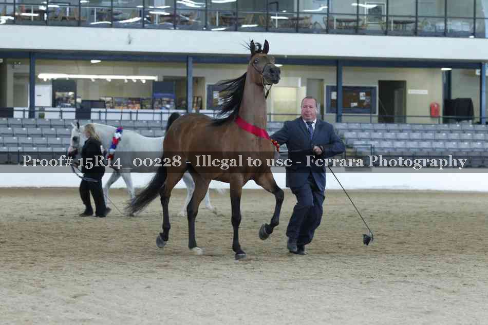 Proof Number 15R14_00228