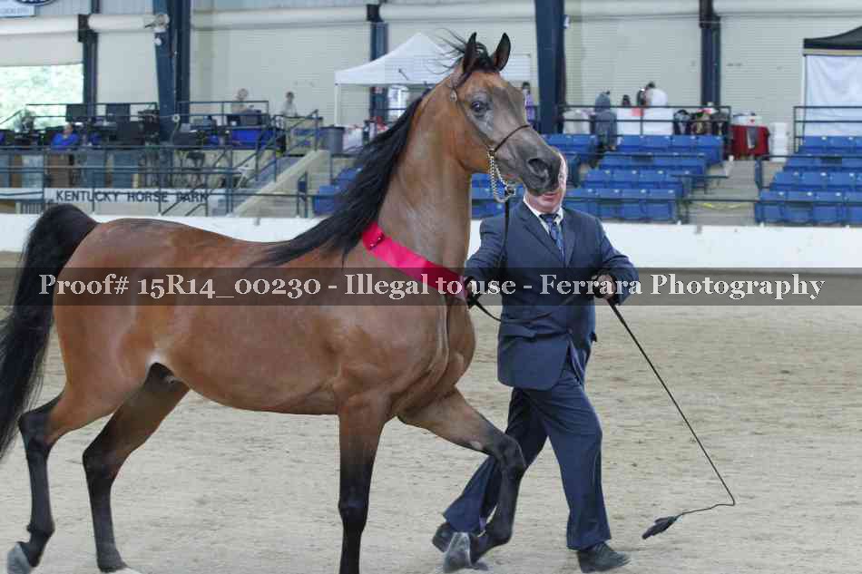 Proof Number 15R14_00230