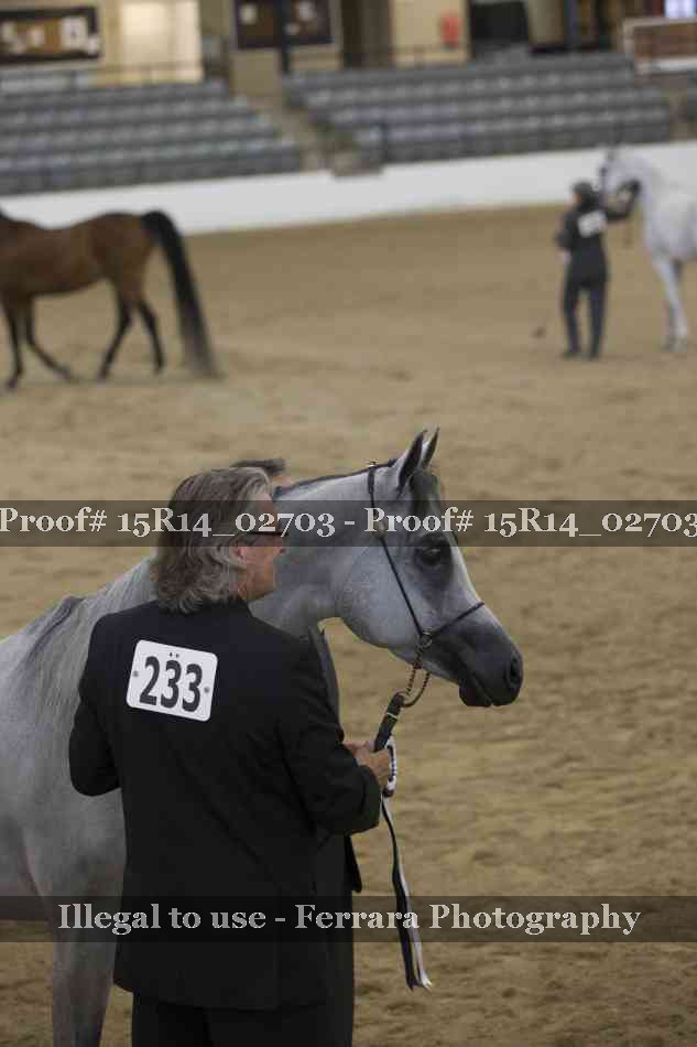 Proof Number 15R14_02703