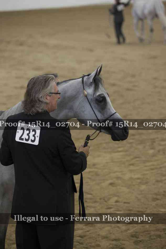 Proof Number 15R14_02704