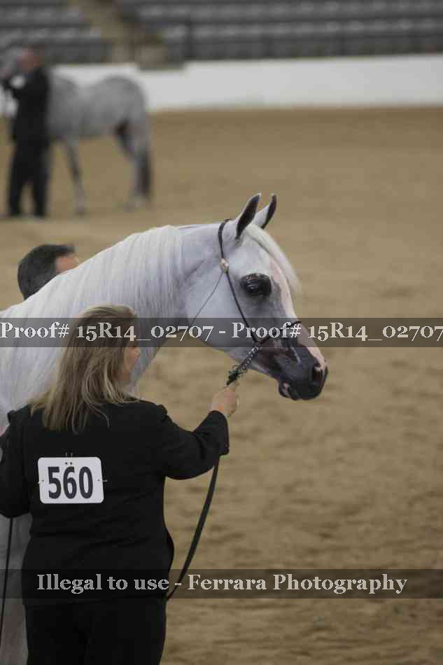 Proof Number 15R14_02707